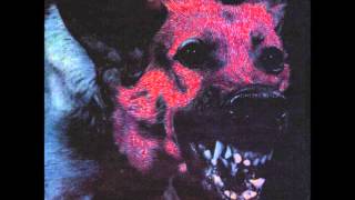 Video thumbnail of "Protomartyr - Bad Advice"