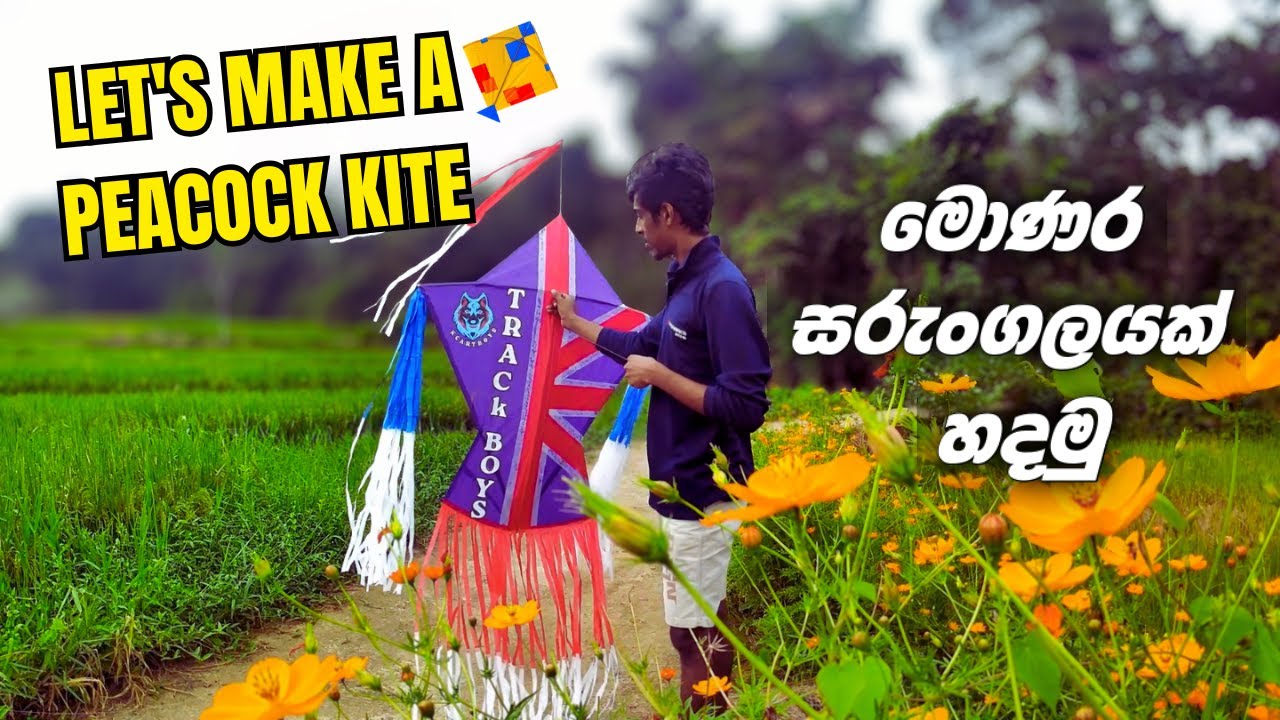 How to Make a Peacock Kite 🪁 | මොණරා සරුංගලයක් හදමු 🪁