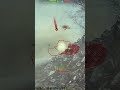 Squall: COUNTERMEASURE - World of Tanks (WoT)
