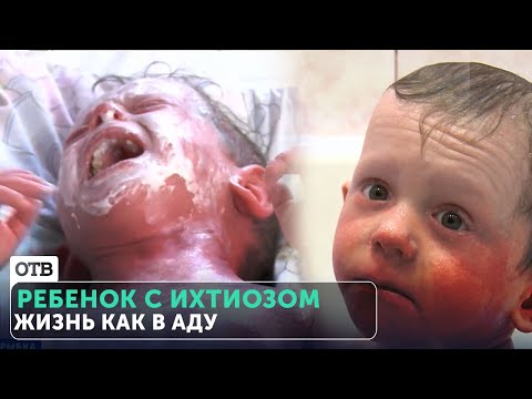 Видео: Есть ли у снук-рыбы чешуя?