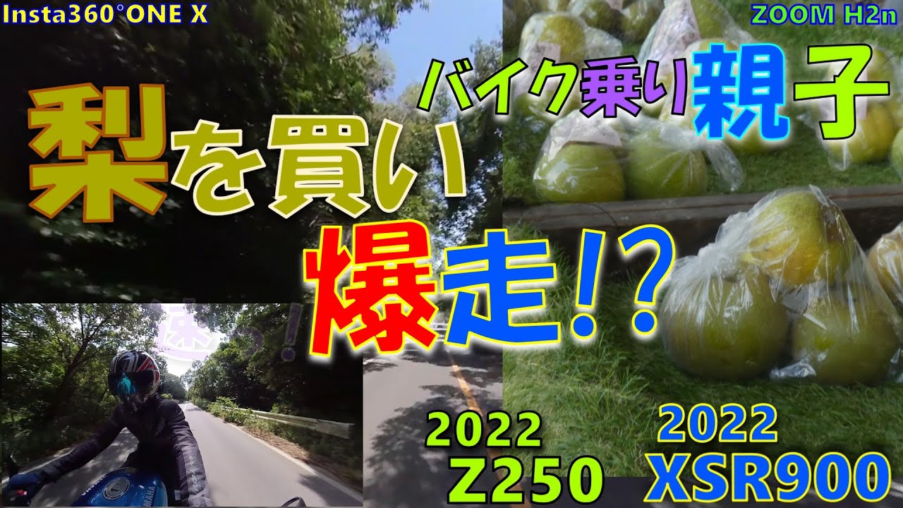 【親子ツーリング】YAMAHA XSR900  KAWASAKI Z250 Insta360°ONE X #427-4 梨を買う