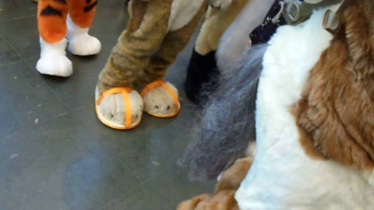 Eurofurence 22 suitwalk Video  (German/Deutsch)