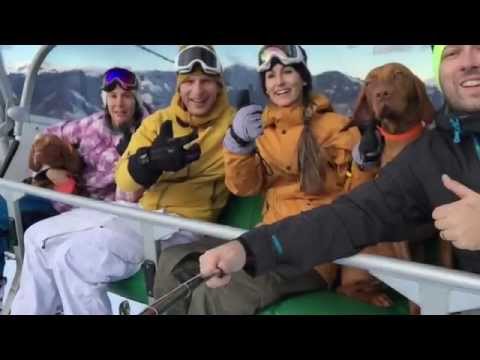 Snowboarding with 2 Magyar Vizsla :) - iPhone 6 Test Video