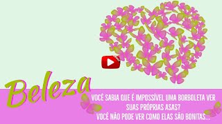 A beleza de uma borboleta você sabia que uma borboleta é impossível Boa mensagem romântica [01/2020] screenshot 4