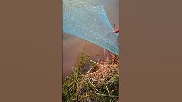 Cast Nets simple knots making tutorial #fishing #fish #handfish