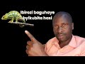 Kwitsirika Mu Gihe Baguhaye Ibirozi Bikikubita Hasi Kwitsirika Mu Gihe Baguhaye Ibirozi Bikikubita Hasi