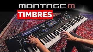 Timbres MONTAGE-M YAMAHA demonstração sons