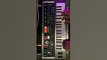 MY NEW PRESETS ON THE MICROKORG 2 (no talking, just tweaking) #microkorg #shorts #korg