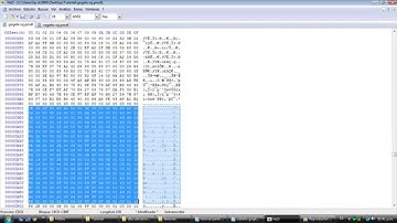 Como Editar Models de Dragon Ball Z Tenkaichi Tag Team PSP Parte 2