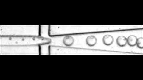High-yield cell ordering and deterministic cell-in-droplet encapsulation using Dean flow in a...