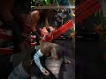 There is NOBODY Like Jeff Hardy | TNA Slammiversary 2026