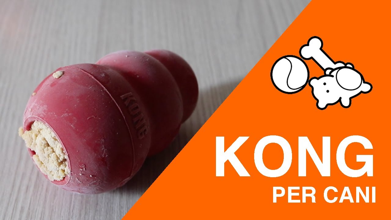 Kong gioco per cani