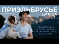 93км в Приэльбрусье за 6 дней | Поход с собакой