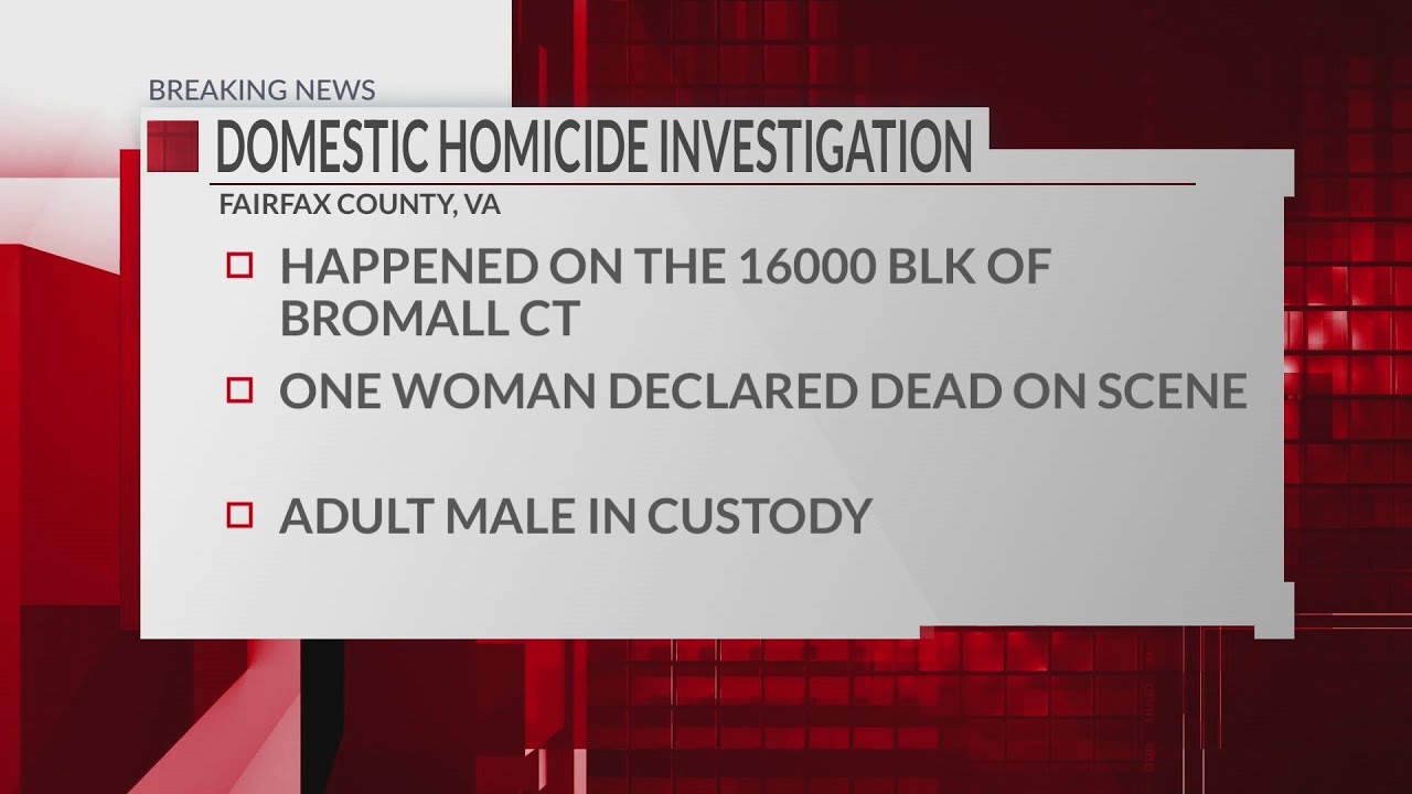 Fairfax County police investigating domestic homicide - YouTube
