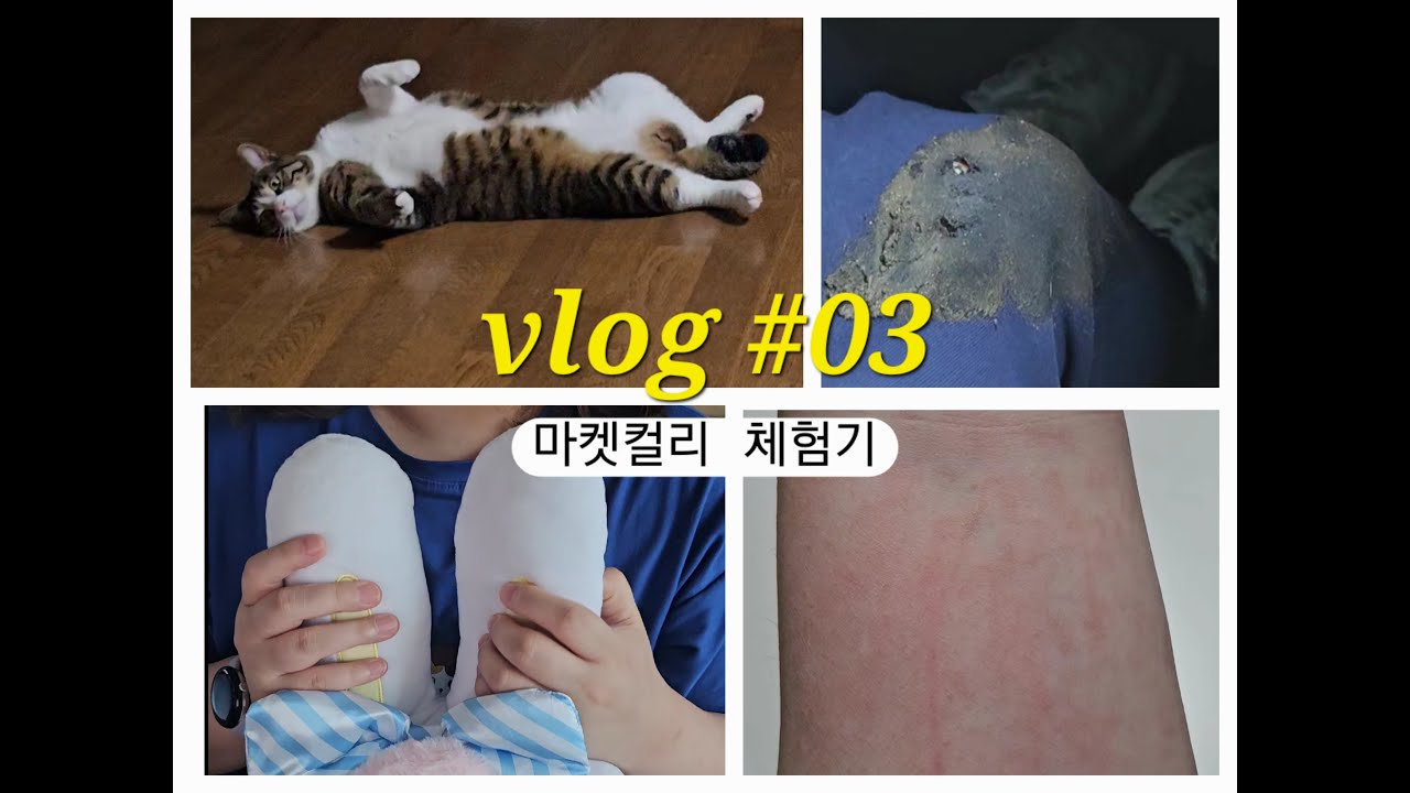 마켓컬리 알바 한 날