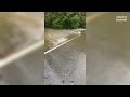 Louisville flooding impacts streets as heavy rains drench Kentucky
