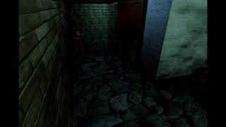 Resident Evil Directors Cut Ps1 What Did each Room do before Lockdown 2