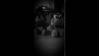 Camera show stage FNAF