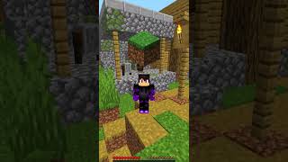 Minecraft, But I Can Only Touch Your Blocks 😳