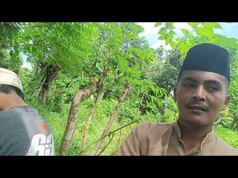 Acara Salametan Air - Kampong Paminian - Dusun Pancur