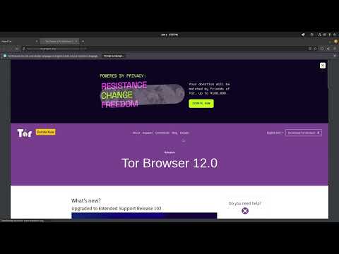 Browse the internet