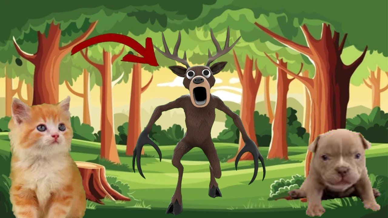 MOTANILA SI CAINELE PIBBLES RAPITI DE CERBUL DIN 99 DE NOPTI!!!!