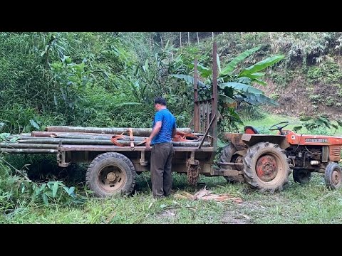 The village headman went to cut down trees to make a drying rack for Ly Thi Yen's corn.