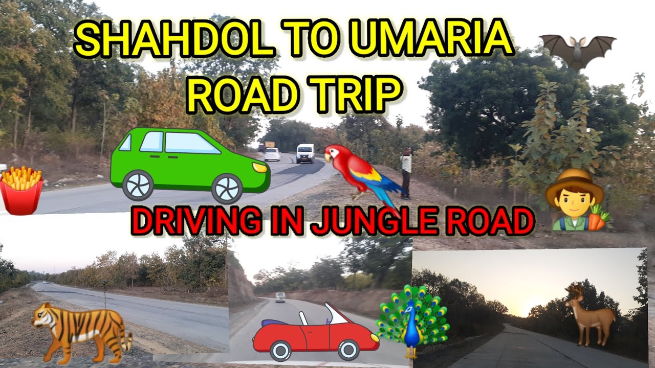 Road Trip SHAHDOL TO UMARIA MADHYAPRADESH.
