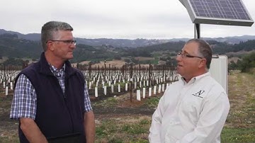Water Conservation and Vineyard Irrigation: Monitoring and Weather Tools