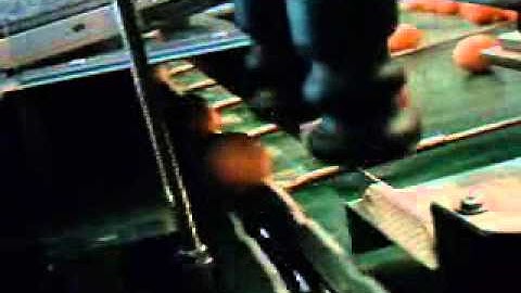 Egg coding EggFlex HeDiPack on a Riva Selegg S61 grader