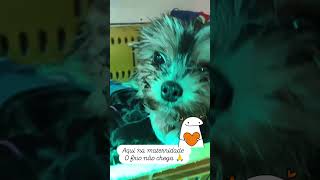 Vc sabia bb recém nascido não conseguem manter a temperatura corporal! por isso danos uma ajudinha