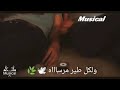 حالات واتساب 2021 حزين رومانسي اغنية لكل عاشق وطن مدحت صالح