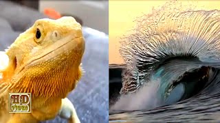 Satisfying Best Quality Video 2022 Works Doing The Jobs Perfectly P