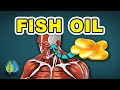 What happens when you take fish oil for 90 days