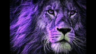 Young Stoner Life & Karlae (feat. Yung Bleu) - Trance_Screwed