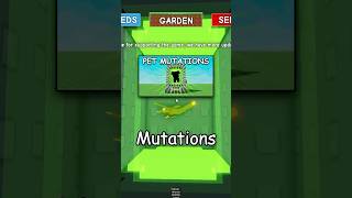 My Dragonfly Got This Mutation Grow A Garden