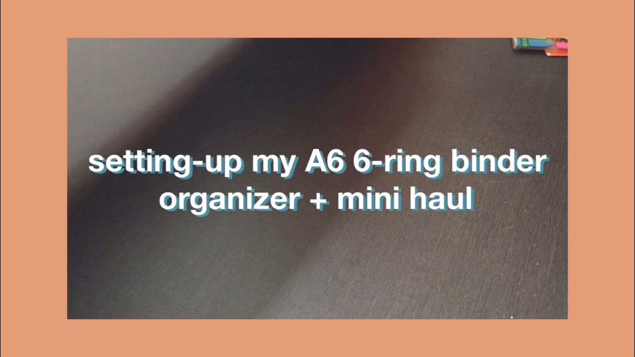 a6 6-ring binder organizer + mini haul