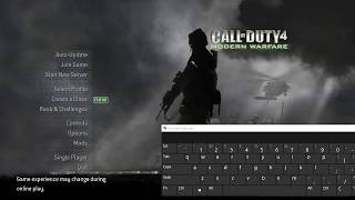 Cursor not visible - call of duty 4