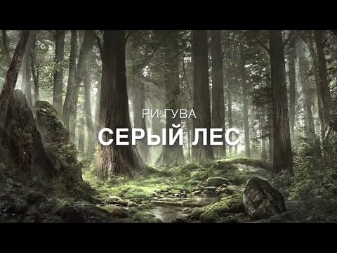 «Серый лес» Ри Гува (продолжение «Чёрный Белый»)