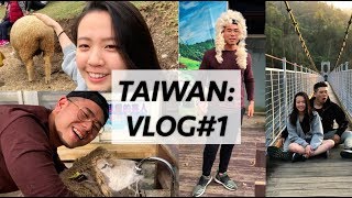 我終於回台灣過寒假了｜TAIWAN: VLOG#1（ft. PEETA葛格）