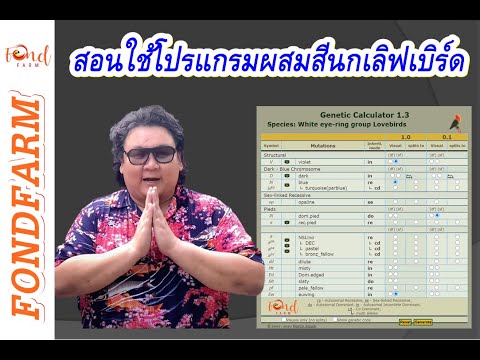 สอนใช้โปรแกรมผสมสีนกเลิฟเบิร์ด