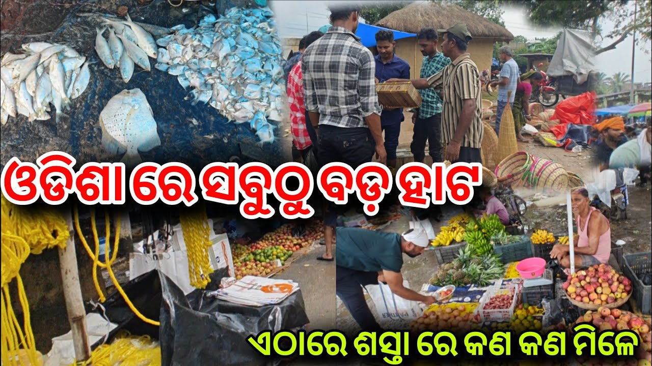 ଓଡ଼ିଶାର ବଡ଼ ହାଟ|| ଏଠାରେ ଶସ୍ତା ରେ କଣ କଣ ମିଳେ|| ODISHA BIGGEST MARKET IN BALESWAR 
