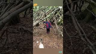 Spring outing with the boy and dog 👌 #exploring #nature #dothingsyoudontwanttodo #beingoutdoors