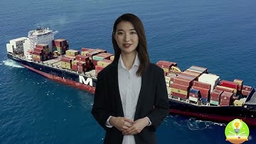 Supply Chain and Logistics Management (4 Minutes)