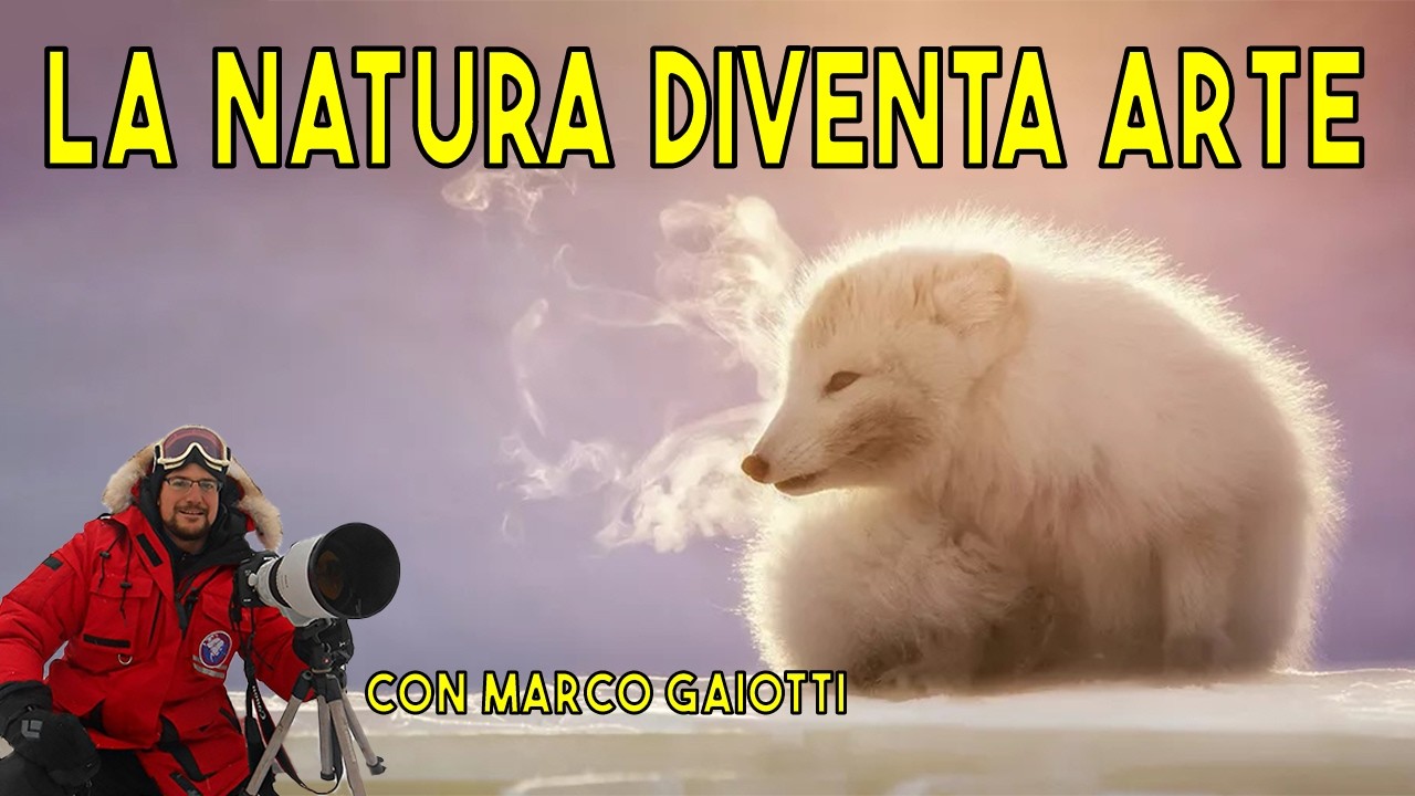 La NATURA diventa ARTE