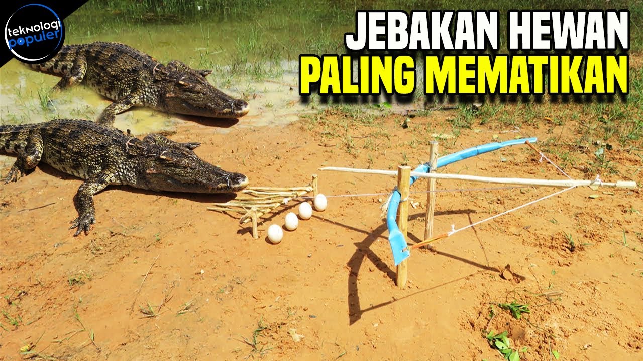 10 Perangkap Hewan  Paling  Mematikan  YouTube