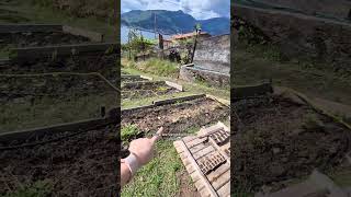 Our little Italian orto (vegetable garden) is on its way! #italy #garden