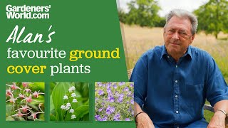 5 ground cover plants I LOVE | Alan Titchmarsh