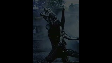 Specimen 6 alien edit #edit #shorts #fyp #xenomorphs #alien