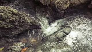 Punden Kiageng Simbar Joyo - Sendang Dodo Jimbaran Kayen Pati Jawa Tengah - Serat Syahadat Racut